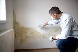 Best Attic Mold Removal  in Yermo, CA